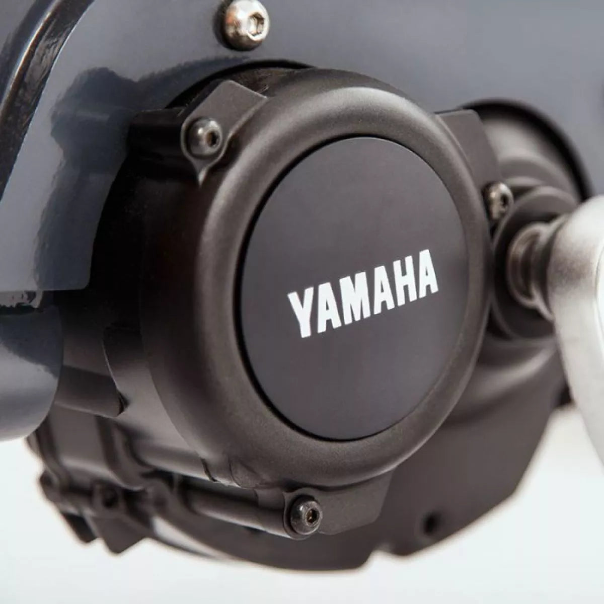 Babboe Go Mountain – Vélo cargo électrique 3 roues (batterie 500 Wh)